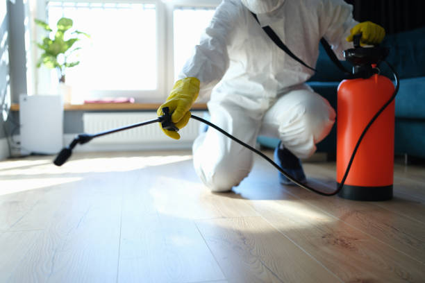 Reliable Biohazard Cleanup contractor in Yettem, CA by Trauma Clean Pros